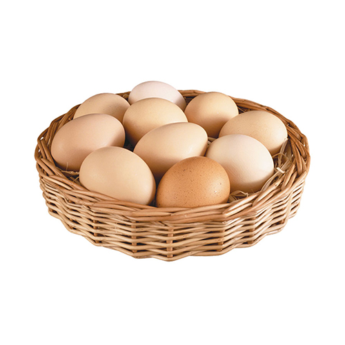 Trứng gà Ai Cập Hòa Thuận